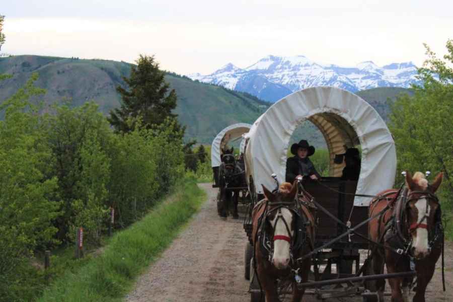 Jackson: Bar T 5 Covered Wagon Cookout & Show. Foto: GetYourGuide