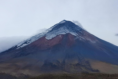 Volcán Cotopaxi: Visita desde Quito, Alpaca, Laguna y volcanes