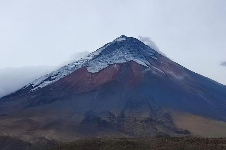 Vulcão Cotopaxi: Visita de Quito, Alpaca, Lagoa e Vulcões