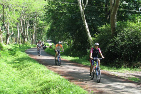 Die beste leichte Wanderung im Cuc Phuong-Nationalpark