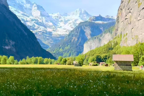 Private Scenic Swiss Alps Tour: Zurich Interlaken Lauterbrun