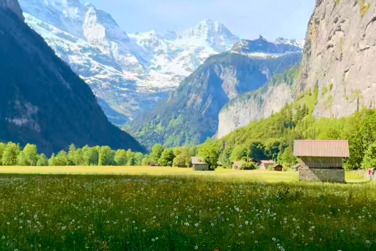 Private Scenic Swiss Alps Tour: Zurich Interlaken Lauterbrun