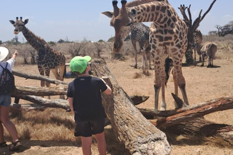 Mombasa: Nguuni Wildlife Walk & Mijikenda Village Experience