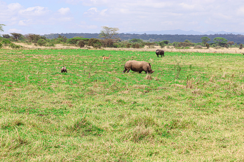 Nairobi National Park