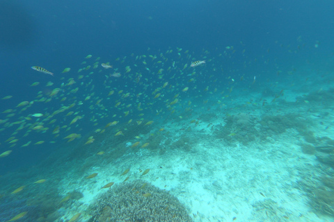 Excursion d&#039;une journée avec plongée en apnée Gili Layar/Gili Gede&amp;Gili Rengit