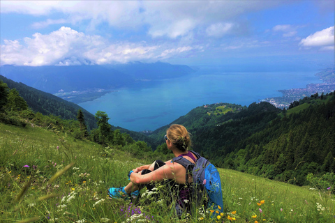 Montreux: Rochers-de-Naye Hike and Picnic Day Trip