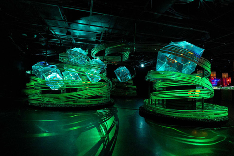 Tokyo: Art Aquarium & "Yozakura" Night Walk Experience