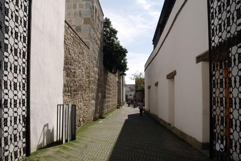 Tour a piedi di Oaxaca con uno storico: culture preispaniche e patrimonioGuida locale in inglese