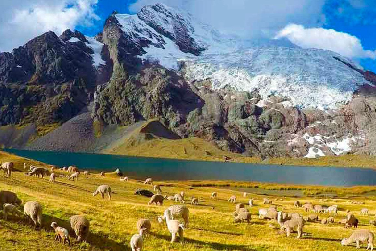 Cusco | Ausangate 7 lagoons trekking and the thermal baths