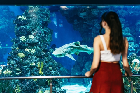 Barcelona: voorrangsticket voor het AquariumTicket voor toegang met voorrang