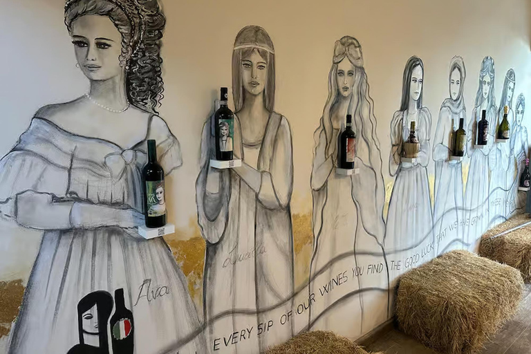 From Florence: Chianti Wine Tour with Wine Tasting Spanish - Chianti Wine Tour with Wine Tasting