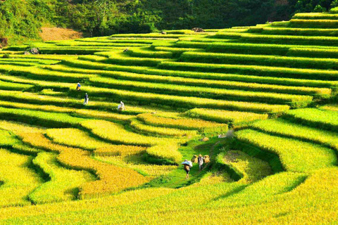 Hanoi: 3-Day Pu Luong, Ninh Binh Excursion & Guide, Homestay