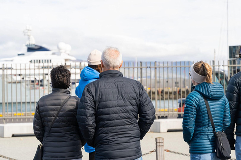 Reykjavik: tour a piedi sulla storia marittima