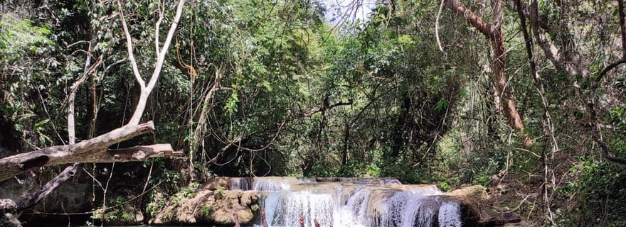 Au départ de Huatulco : Chutes d'eau et expérience du café avec déjeuner
