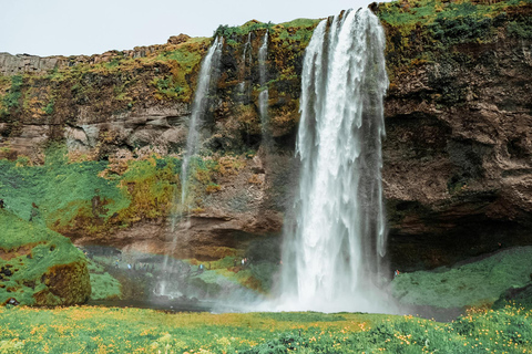 Reykjavik: South Coast Tour + Jökulsárlón Glacier Lagoon