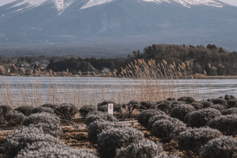 From Tokyo: Mount Fuji Full Day Customizable Private Tour