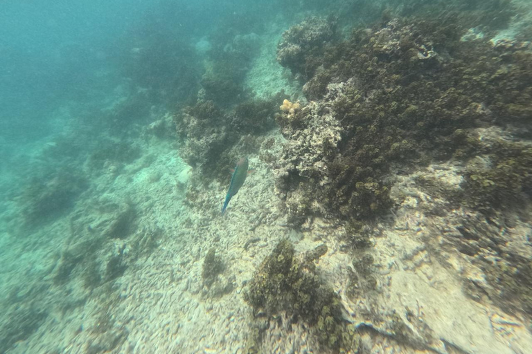 Malindi/Watamu: Safari Blue Tour with Lunch & Snorkeling