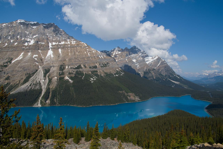 Tagestour zum Peyto Lake, Lake Louise, Johnston Canyon, mehr.Abfahrt von Canmore