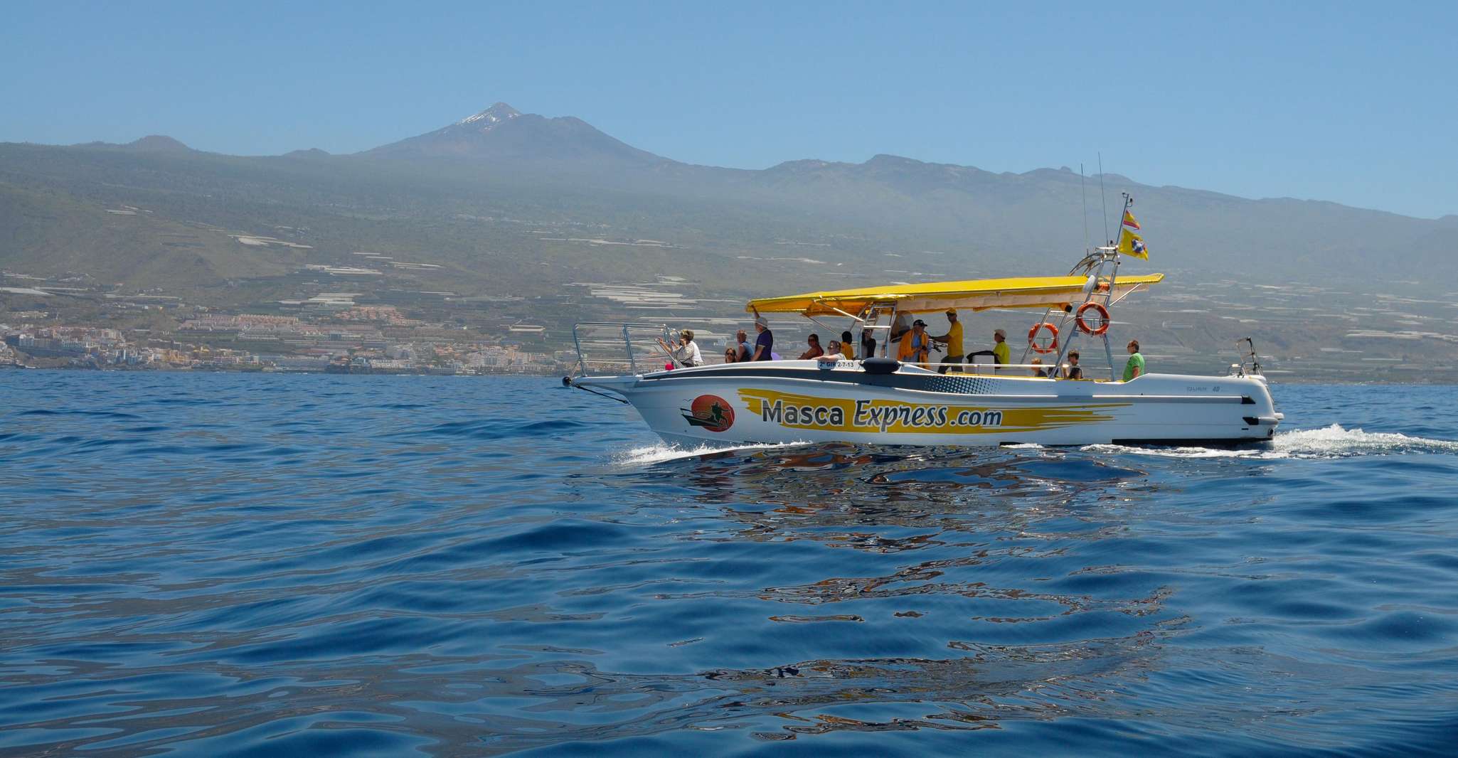 Los Gigantes, Dolphin & Whale Watching Cruise with Swimming - Housity