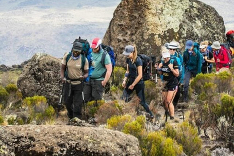 Da Nairobi: Escursione al Parco Nazionale del Monte Kenya con pranzo