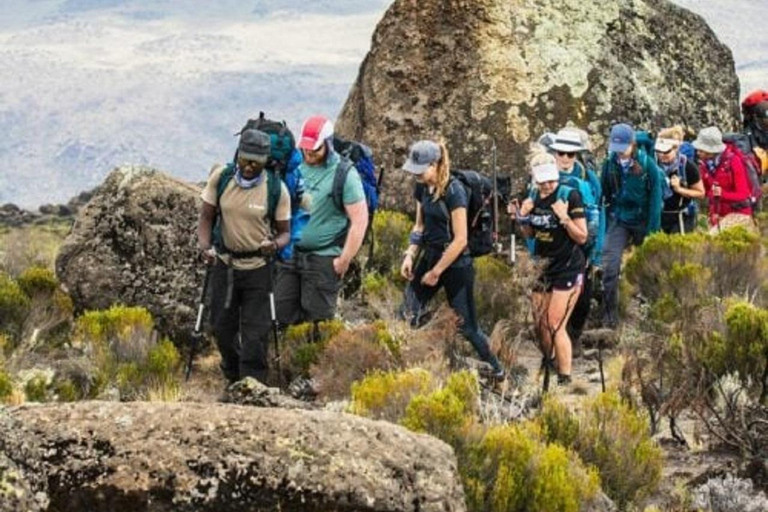 Da Nairobi: Escursione al Parco Nazionale del Monte Kenya con pranzo