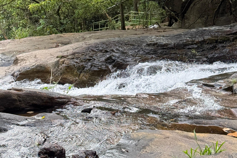 From Colombo: Cave Temples, Jungle Trek & Waterfall Swim