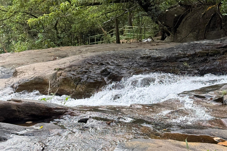 From Colombo: Cave Temples, Jungle Trek & Waterfall Swim