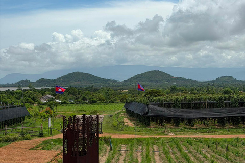 Kampot To Country Side Tour La plantation Pepper With Sunset