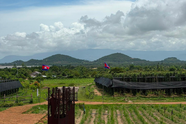 Kampot To Country Side Tour La plantation Pepper With Sunset