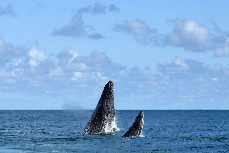 Cabo Frío junto al mar: Tour privado de la ciudad y paraísos naturales