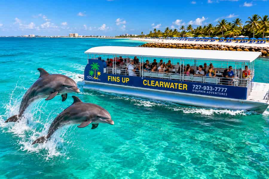 Clearwater Beach: Magische Delfin-Bootstour am Morgen. Foto: GetYourGuide Clearwater Beach: Magische Delfin-Bootstour am Morgen. Foto: GetYourGuide