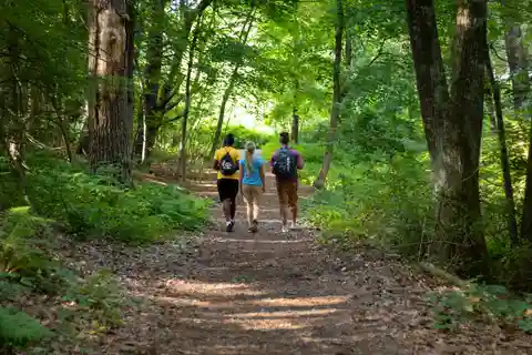 Zanzíbar:Bosque de Jozani, santuario de tortugas marinas y playa de Mtende