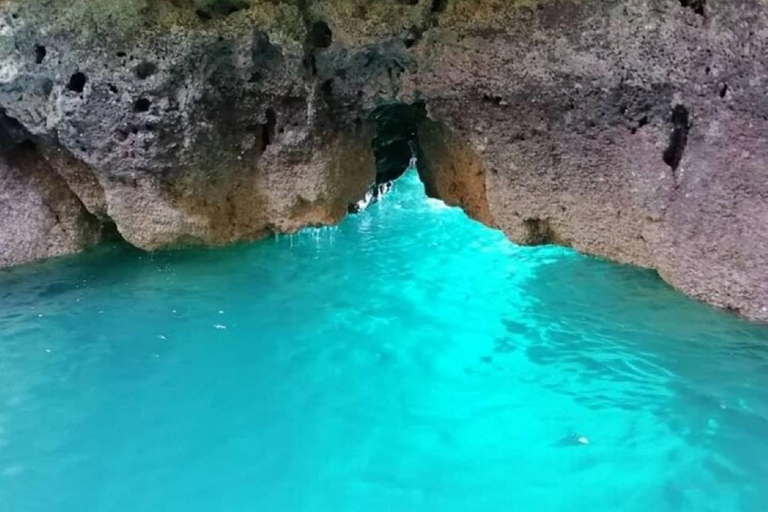Albufeira - Benagil Caves & Dolphins Boat Tour with Transfer