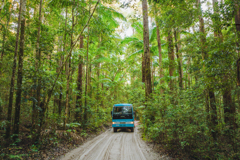 From Rainbow Beach: K'gari Fraser Island Full-Day Coach Tour From Rainbow Beach: Fraser Island Full-Day Coach Tour