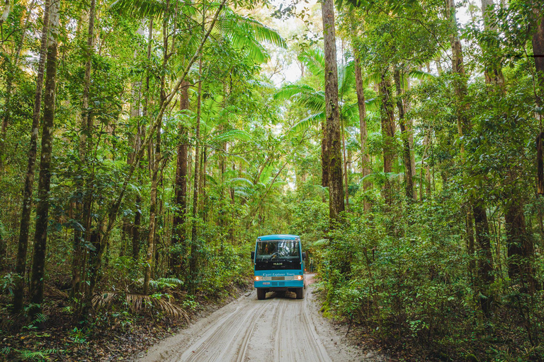 From Rainbow Beach: K'gari Fraser Island Full-Day Coach Tour From Rainbow Beach: Fraser Island Full-Day Coach Tour