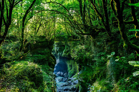 From Tbilisi: Martvili Canyon & Prometheus Cave