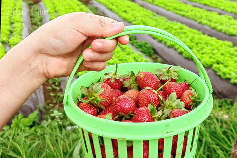 Baguio Country Side Tour (Private Tour)