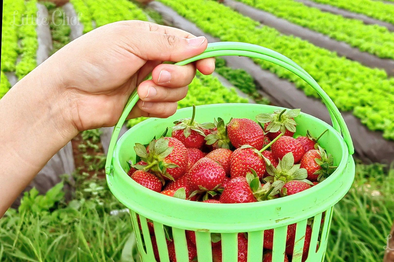 Baguio Country Side Tour (Private Tour)