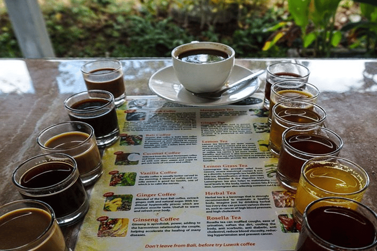 Ubud: Natura in primo piano, fauna selvatica, altalena e cascata