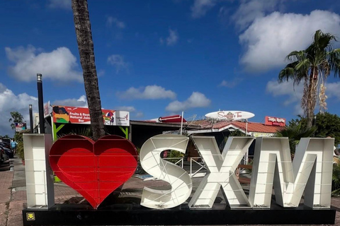 St. Maarten: Cruise Passenger Electric Bike Rental 6-Hour E-Bike