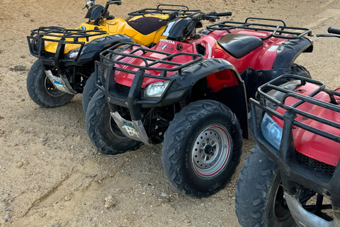 Fayoum: Qarun Sahara Safari With( ATV ) Quad bike From Cairo Private 4 Hours Quad Included Tickets