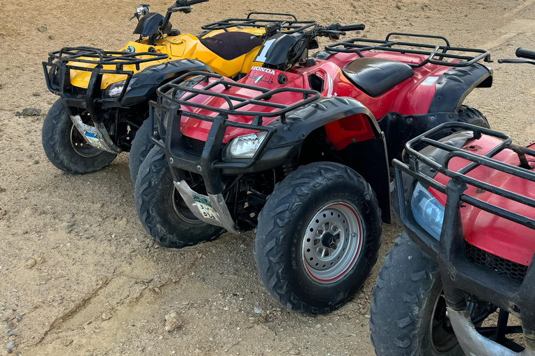 Fayoum: Qarun Sahara Safari With( ATV ) Quad bike From Cairo Private 4 Hours Quad Included Tickets