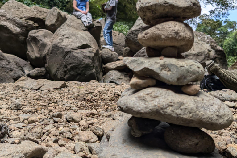 From Arusha: Coffee Farm and Mangalia Waterfalls Tour