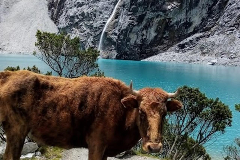 Huaraz: Hele dag Lagune 69 + Lagune van Llanganuco