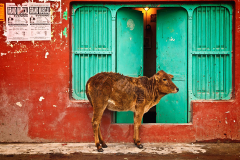 Spiritueel: Wandeltour door Rishikesh