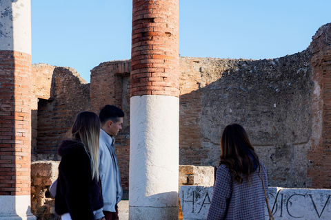 From Sorrento: Pompeii Skip-the-Line, Train Tkt & Tour
