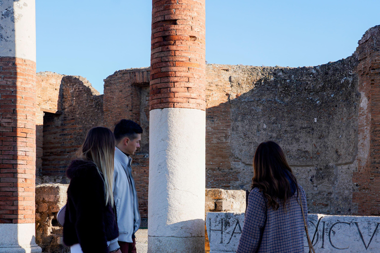From Sorrento: Pompeii Skip-the-Line, Train Tkt & Tour