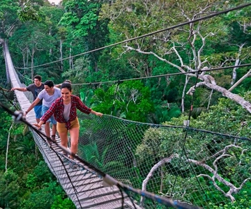 Aventura en la selva | Tirolina, Canopy, Kayak|