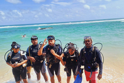 Mirissa: Private Eco Turtle Snorkelling Tour & Photography