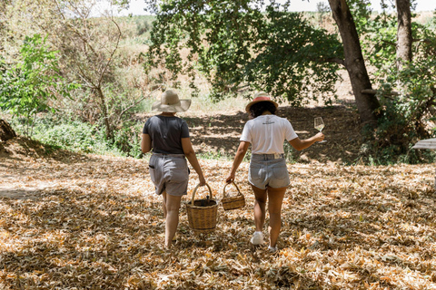 Picnic Wine Tasting by the River in Nemea region
